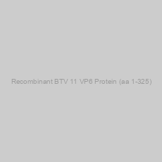 Image of Recombinant BTV 11 VP6 Protein (aa 1-325)